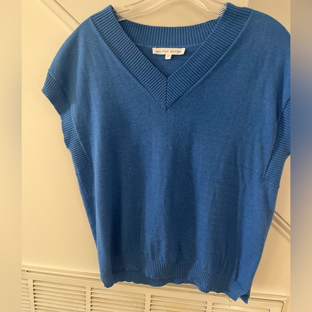Melissa Nepton Blue V-Neck Sweater